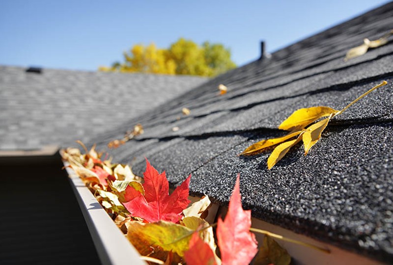 Fall home maintenance tips