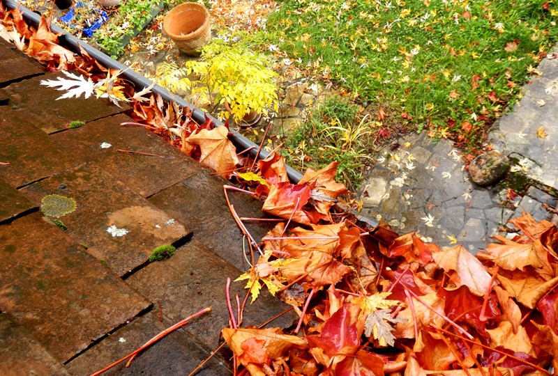 How to clean your gutters