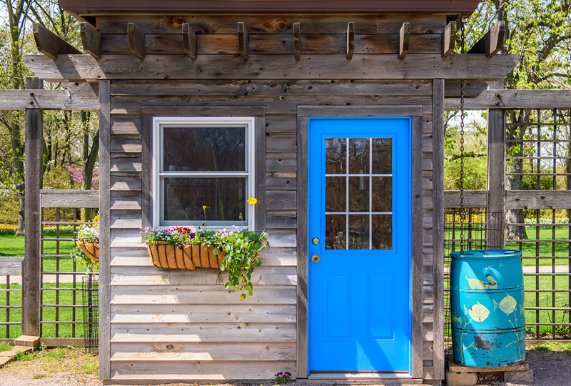 Chic shed with bright blue door