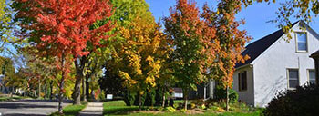 Community view of the Columbia Park neighborhood of Minneapolis, Minnesota