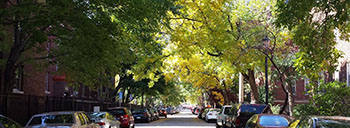 street view of Steven Square neighborhood