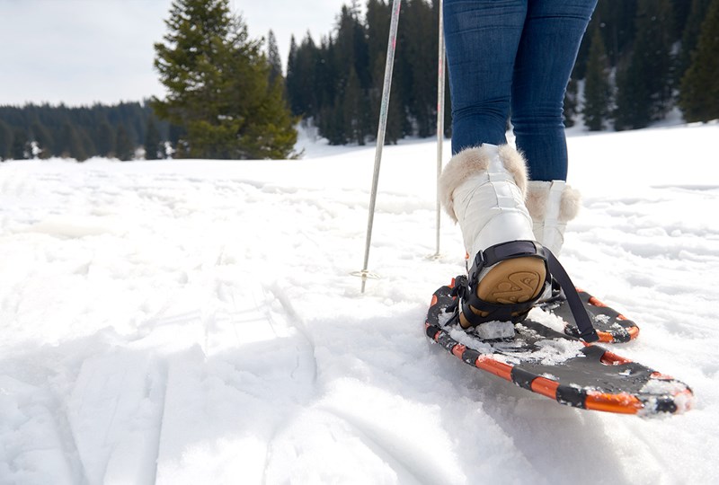 Top winter activities for adults in Minnesota and western Wisconsin