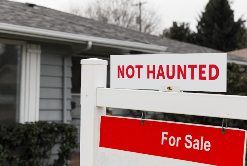 What to do if your house is haunted