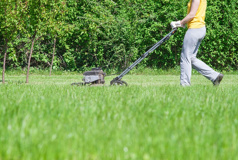 Mowing the lawn