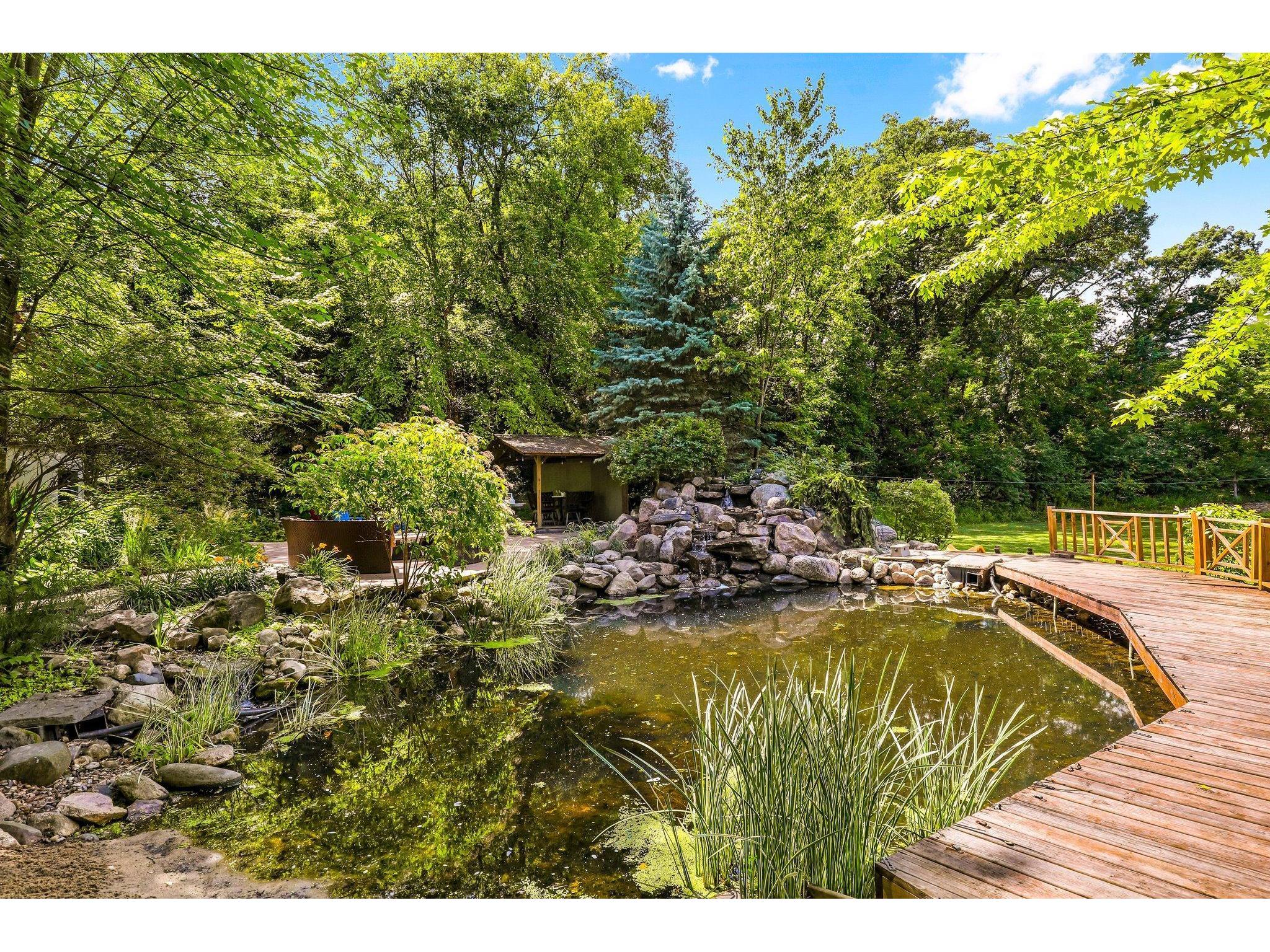 Backyard pond