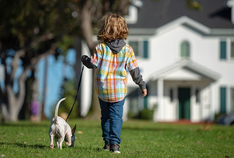 Moving with pets