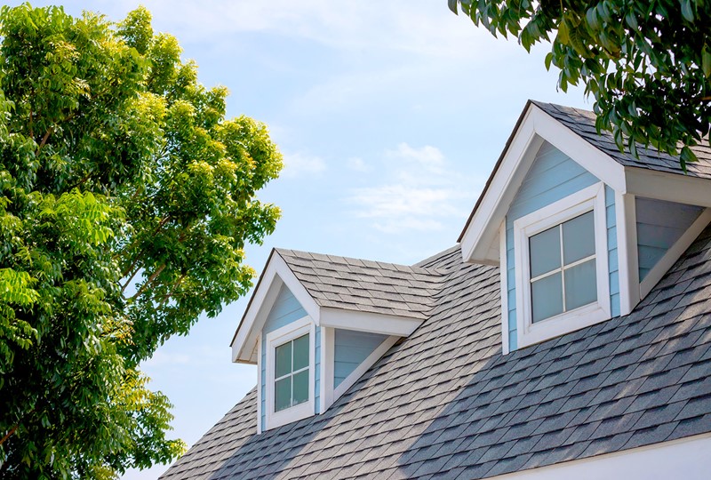 disclose home seller